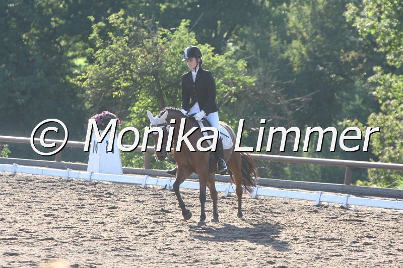 109M4965_Good lucky boy_Dressurreiter A.JPG